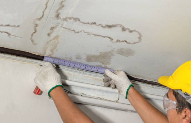 Reliable Water Damage Repair contractor in Joint Base Mdl, NJ by Hirex Water Damage